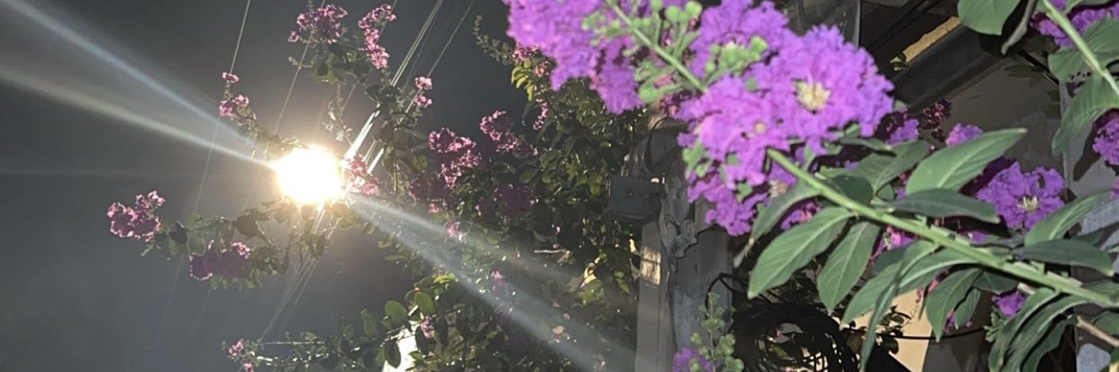 Emilia's banner