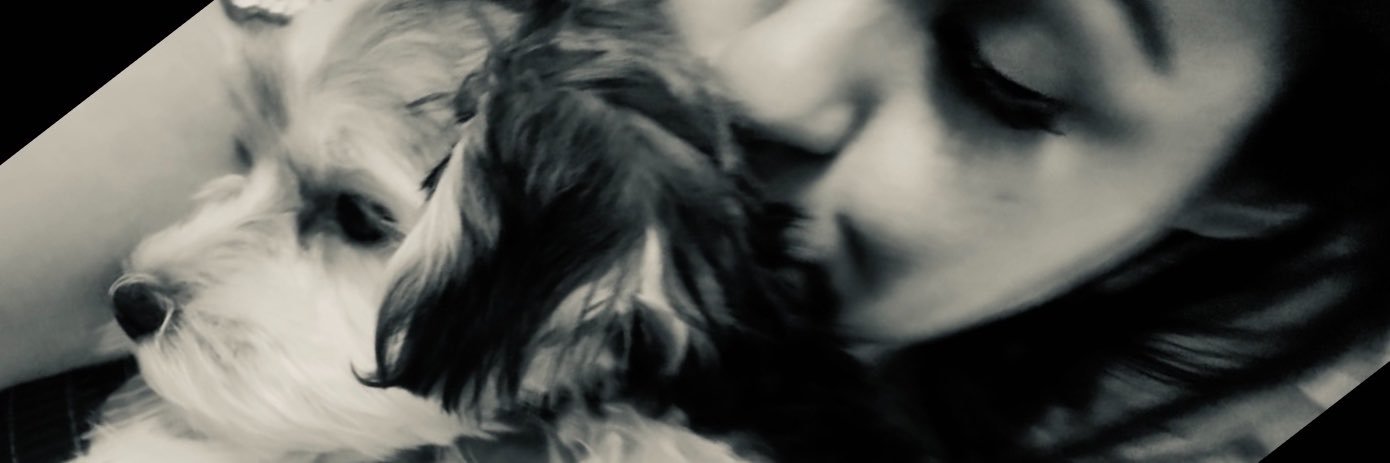 Daisy's banner