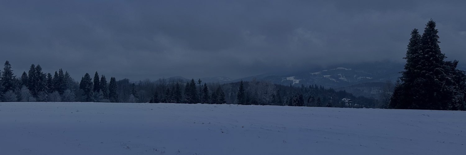 🇪🇺🇩🇪🌲's banner