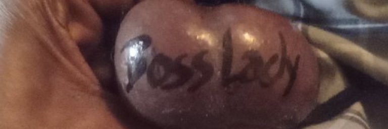 Boss lady's banner