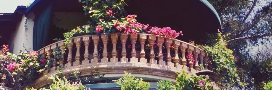 Maxence's banner