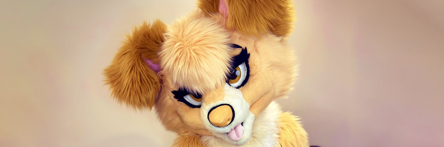 🎀 Amber Collie 🎀's banner