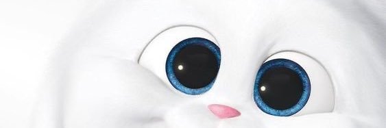 Kira Besha's banner