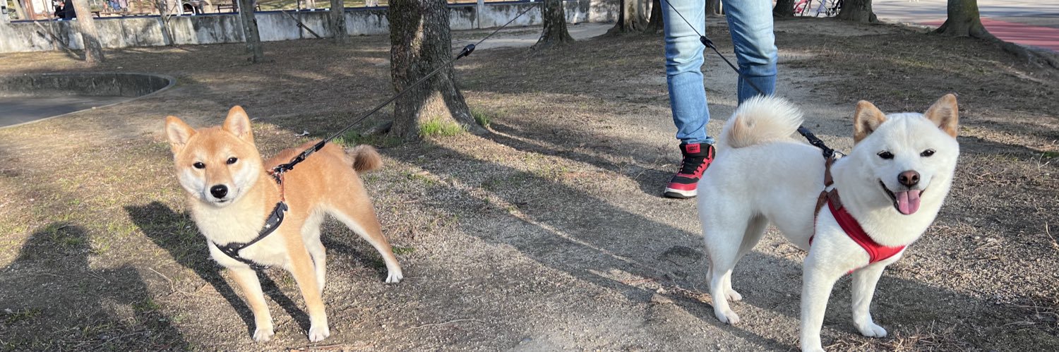 豆柴🐕エルとタケル's banner