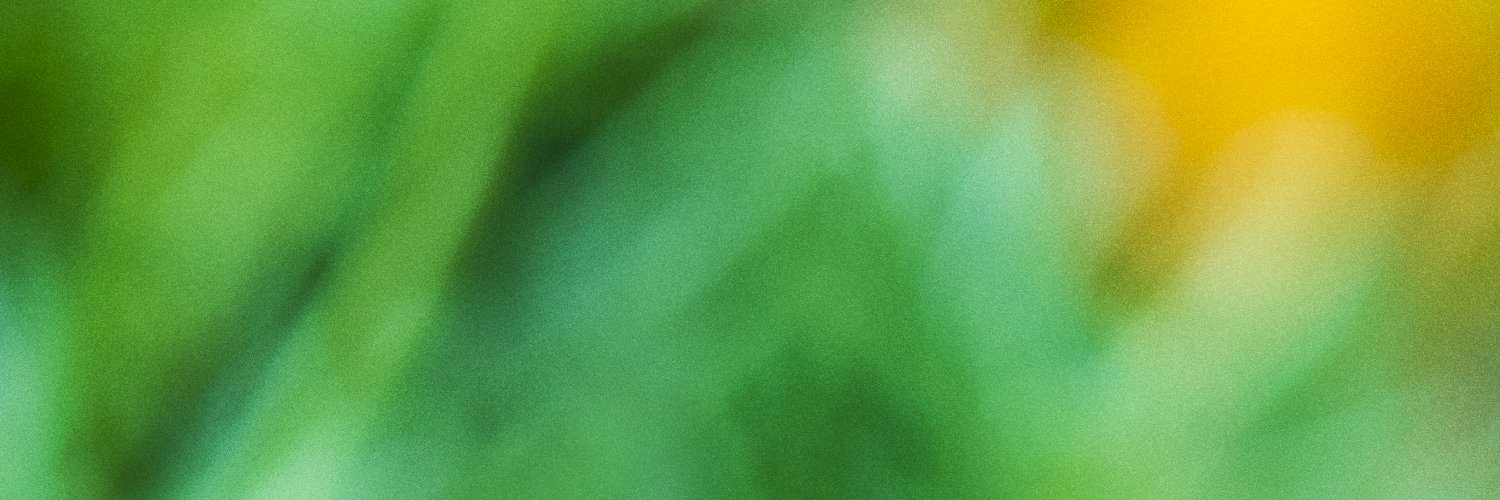 Sierra's banner