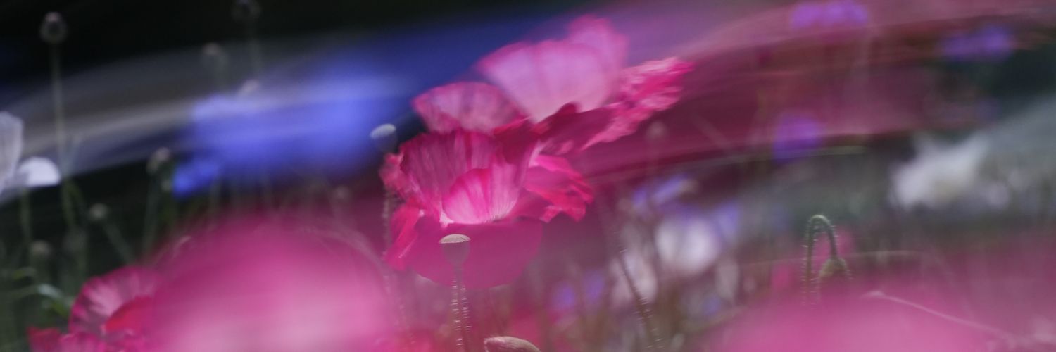 ぞぞむ's banner