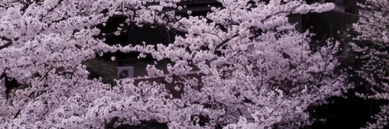 浮*&𝔂𝓾𝓾's banner