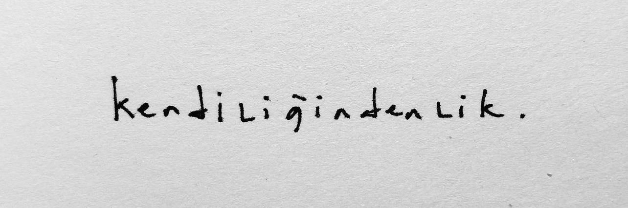 SarayınGözdesi's banner