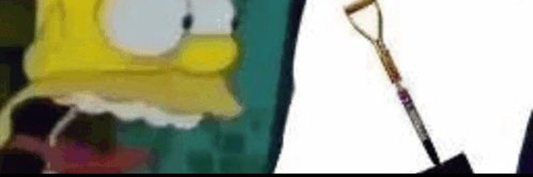 soy una pala's banner