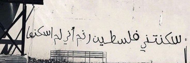 Dima Abu-Mousa's banner