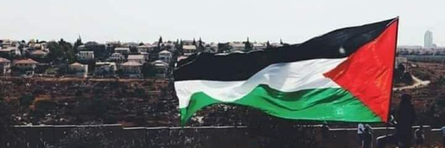 عاليا محمد's banner