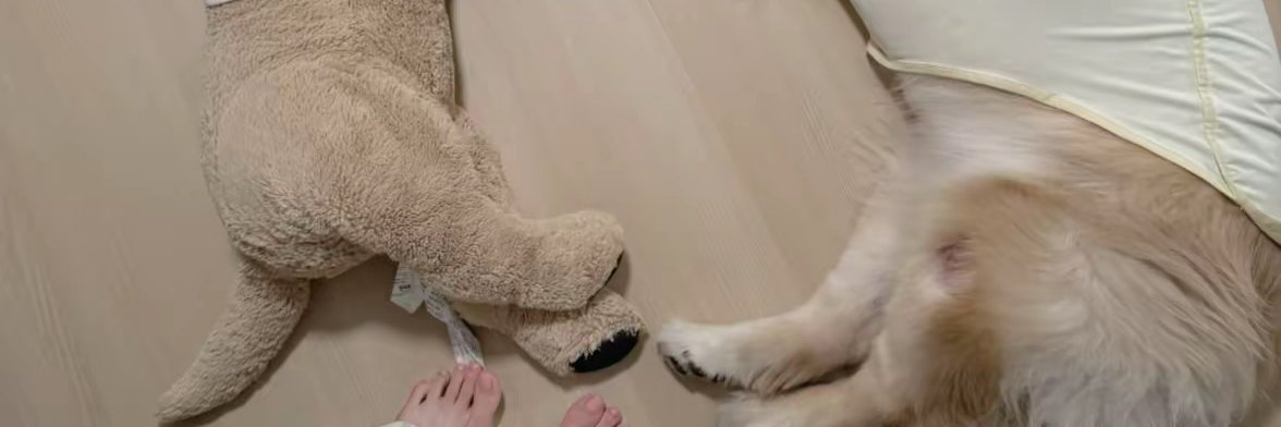 羊小羊's banner