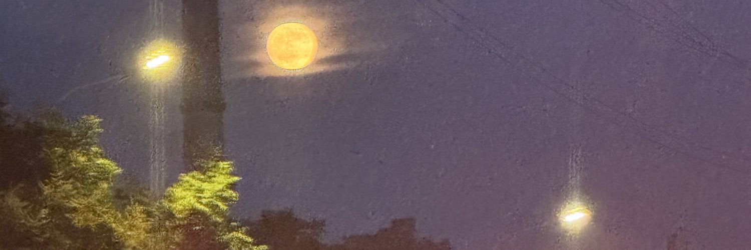y yy's banner