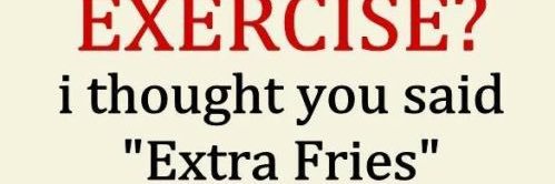 Fennec ⟡👀's banner
