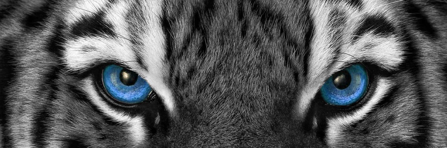 Jack Mask ⚜️'s banner