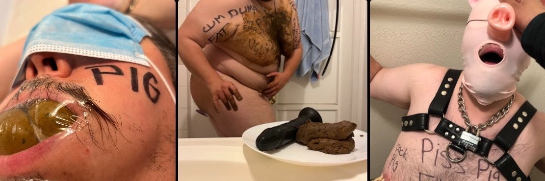 Chubbytoiletpig's banner
