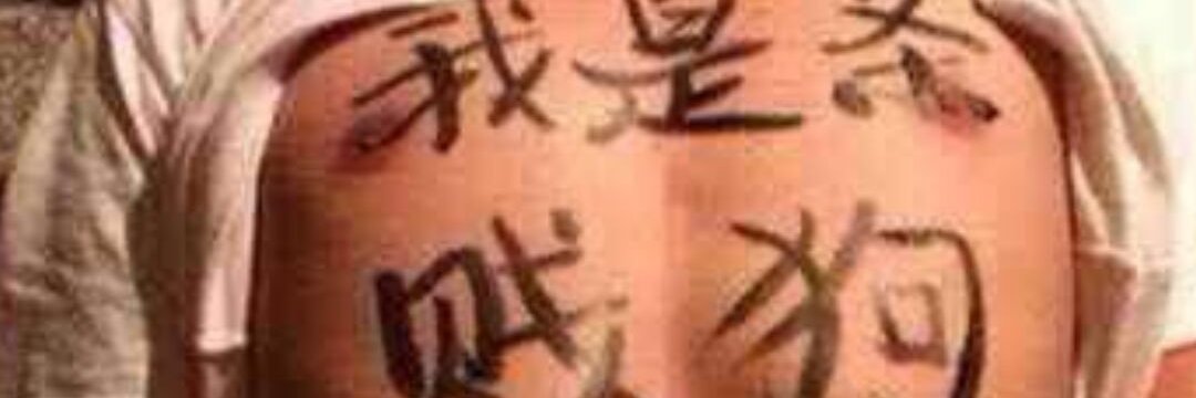 折星's banner