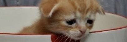 ‏ؘ's banner