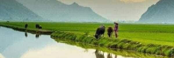 The khmer 😁😂's banner