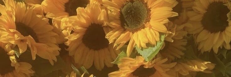 Theylor Swift ⋆ 𖤓 ⋆˚࿔'s banner