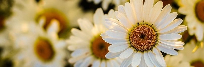 💋 Geralyn🌺's banner