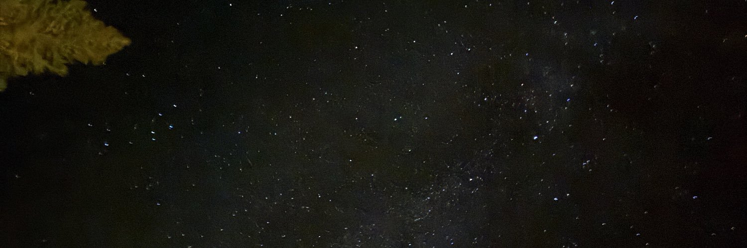 UglyTrucker's banner
