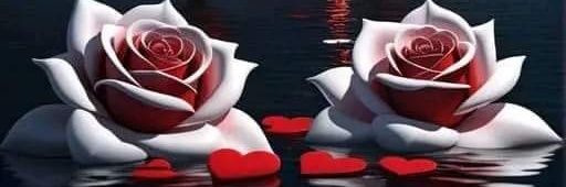 اردنية بنت النشامى🇯🇴🥰🇯🇴's banner