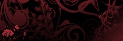 V ☆ (DNI/DNF PROSHIP)'s banner