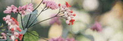 瑾瑾🌼（在校大學生）'s banner