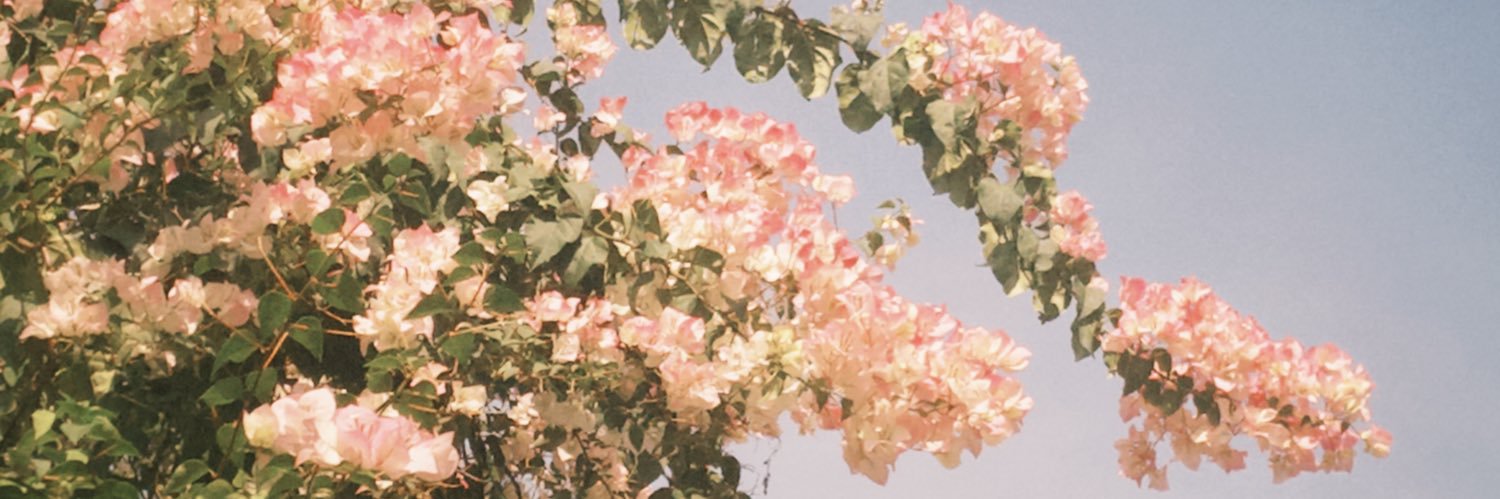 𝓐𝓷𝓷𝓪's banner