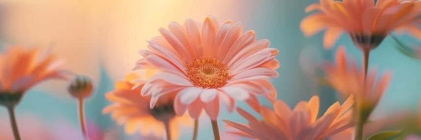 Eula Kandis🌺's banner