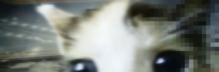 oec archive's banner