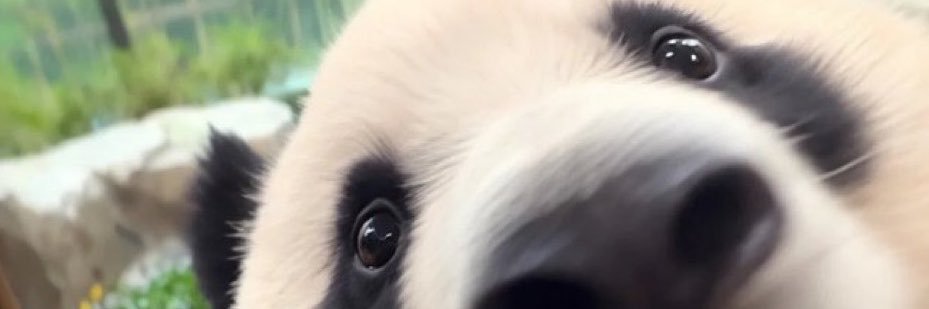 .'s banner