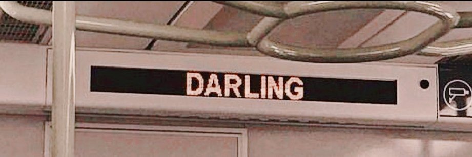 Allie's banner