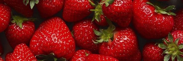 Zeynepp♡'s banner