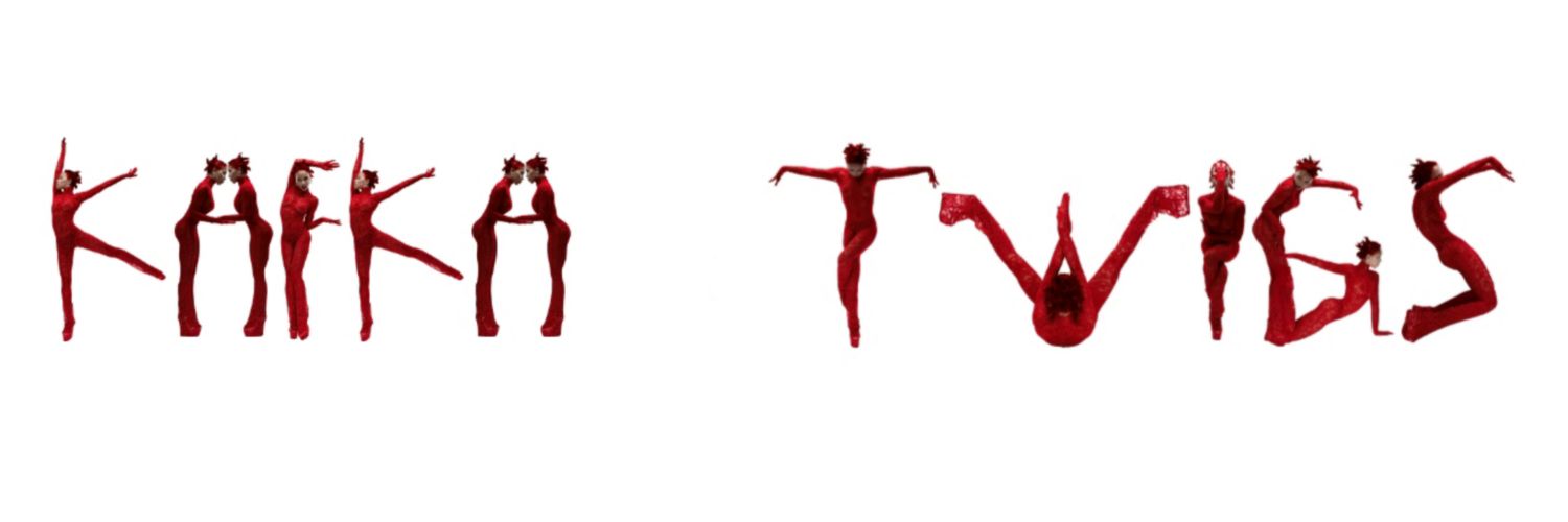 kafka twigs's banner