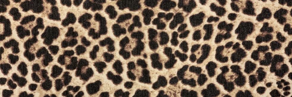 ᵏᵒᵇⁱⁱ 😸's banner