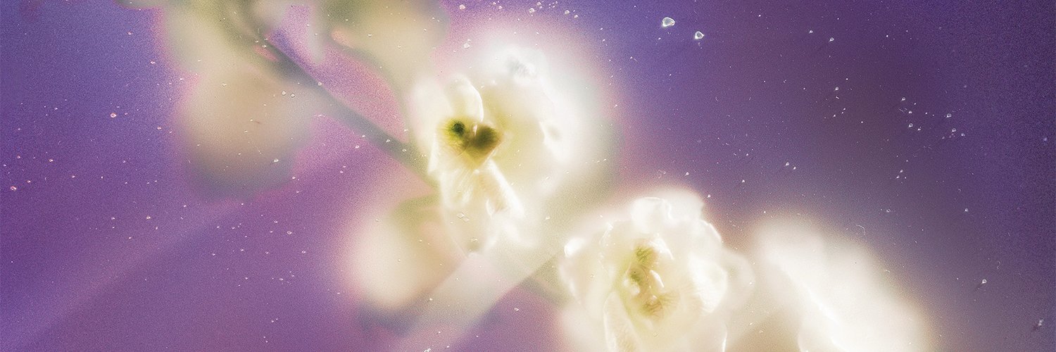 Cassandra Jenkins's banner