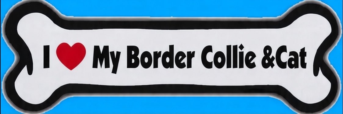ボーダーコリーしずく's banner