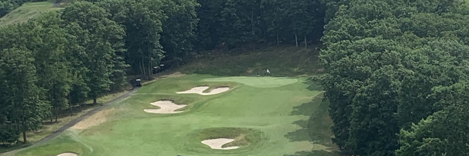 Divot Doctrine's banner