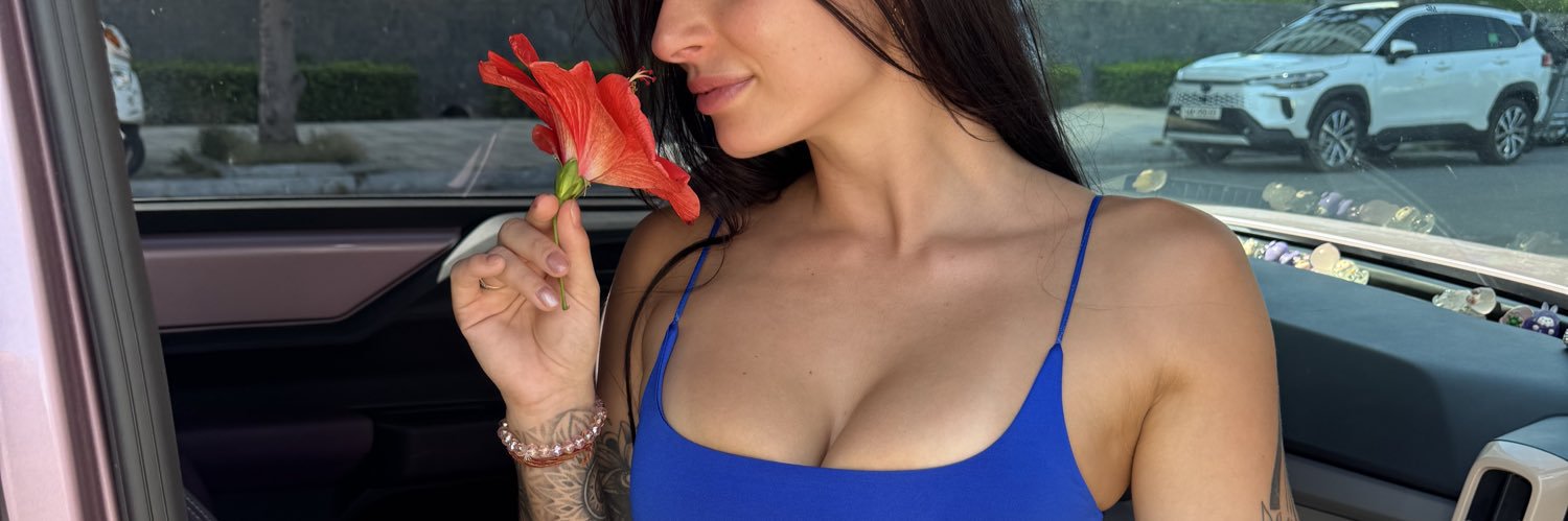 bella's banner