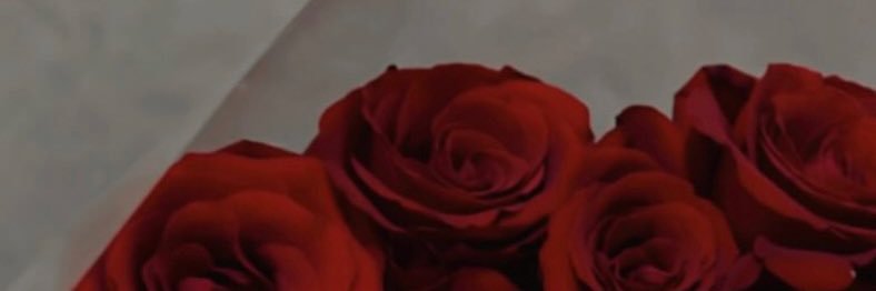 Divvv's banner