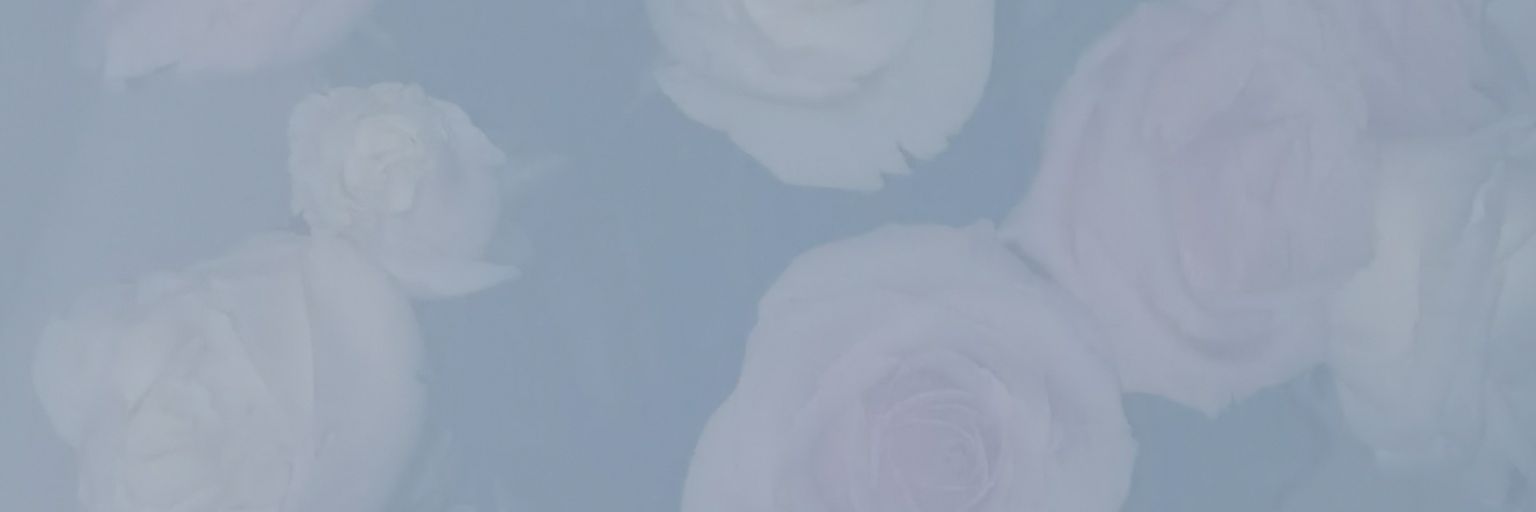 玉崽's banner