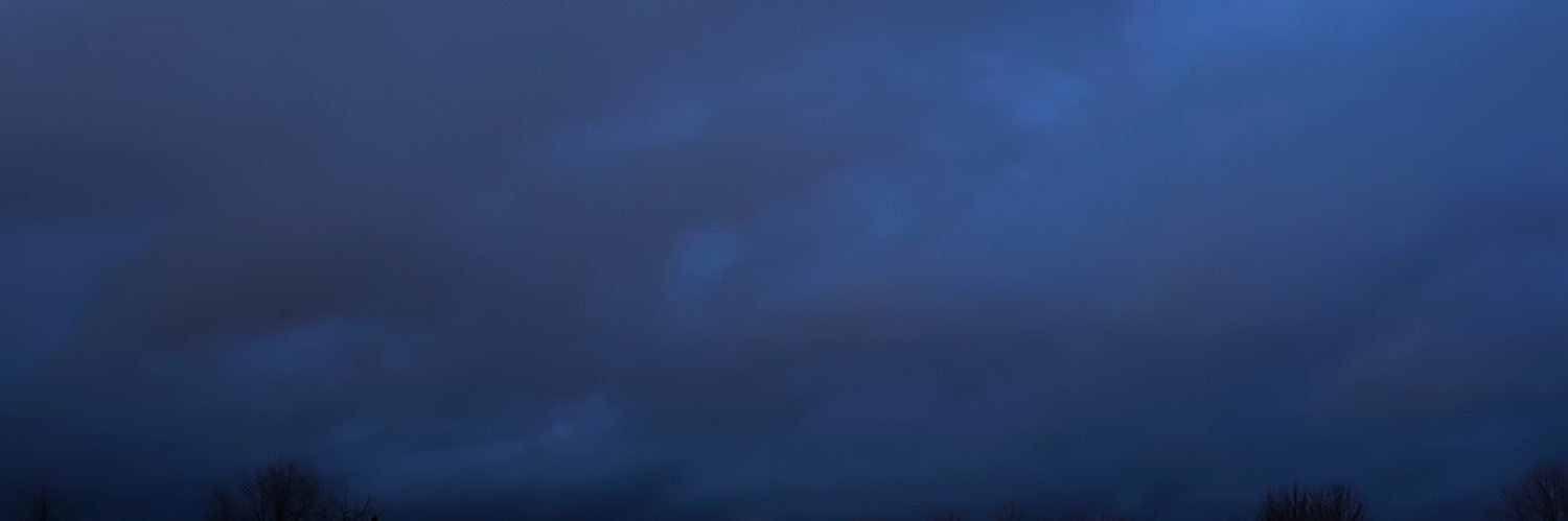 BERDLY 🏳️‍⚧️'s banner