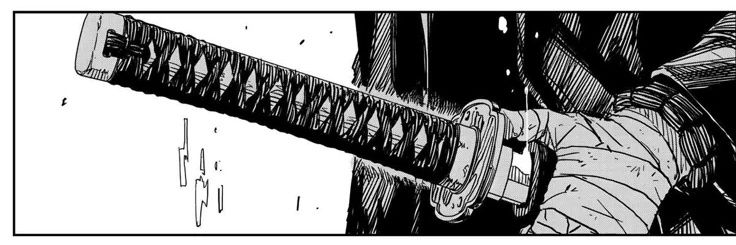 Zoro's banner