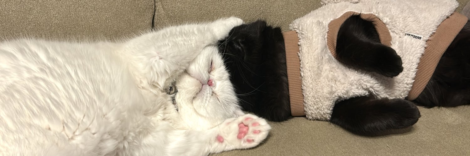 こてつくんとかげつちゃん's banner