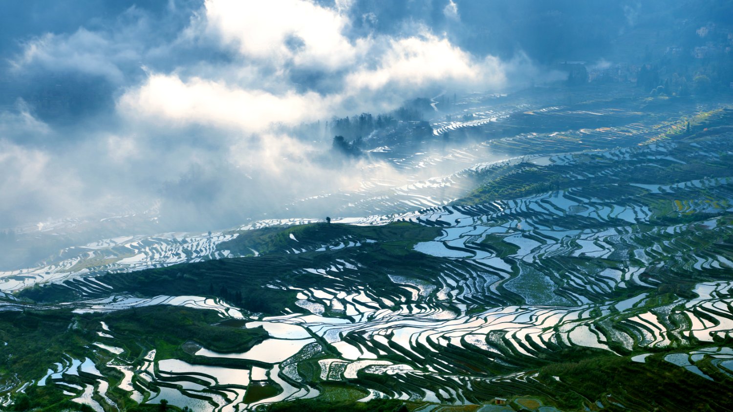 梯田君🇨🇳(互fo )'s banner