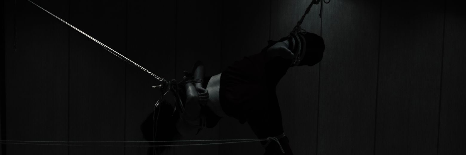 七喜喜喜's banner