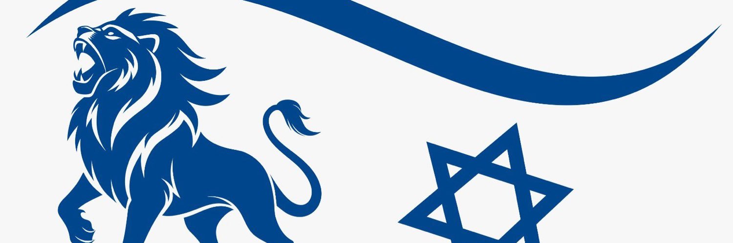 Lioness לביאה 🎗️💙✨🦁🌺's banner