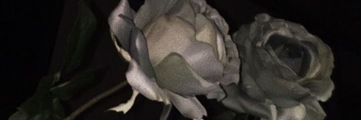 Luna's banner